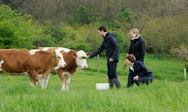 Josef Maier, Maria Beiring und Ilse Maier (von links) betreiben das Bio-Weingut Geyerhof. Zwischen 25-jährigen Veltliner-Reben leben Weiderinder, Bienen und allerhand Nützlinge.