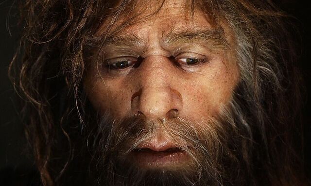 To match Reuters Life! NEANDERTHAL-CROATIA/MUSEUM
