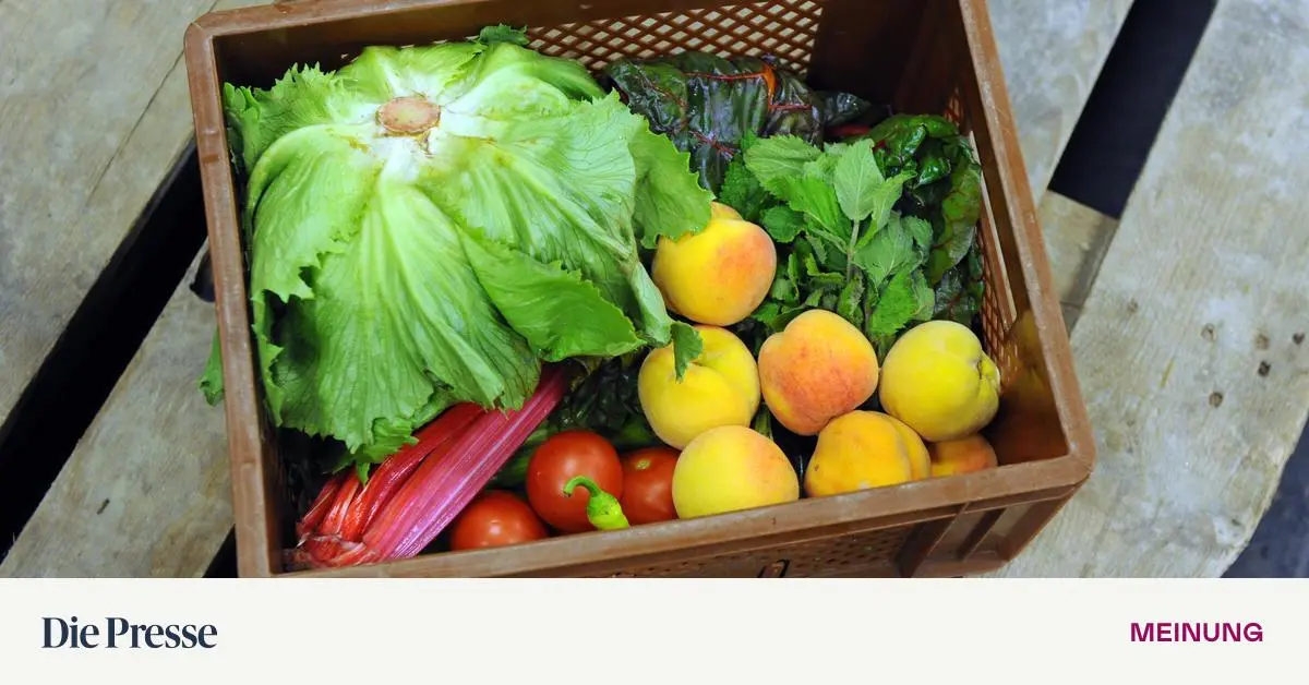 Mehr-privat-weil-zu-wenig-Staat-Sinnvoll-schenken-Teil-5-das-Biokistl