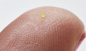 Die Handtasche von MSCHF ist kleiner als ein Salzkorn. 