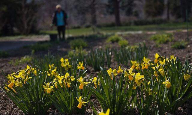 Symbolbild: Asylwerber helfen unter anderem bei der Gartenpflege von Kommunen mit. 