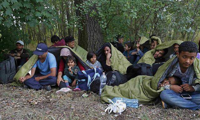 Flüchtlinge in Ungarn nahe der Grenze zu Serbien.