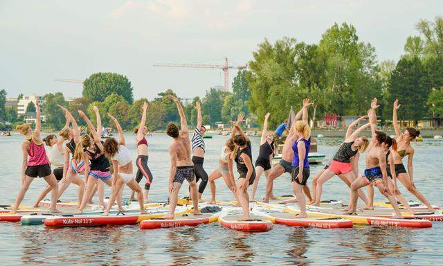 Yoga-Kurs am Surfbrett auf der Alten Donau in Wien. 