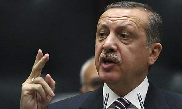 Erdogan warnt Sarkozy wegen Genozid-Gesetzes 