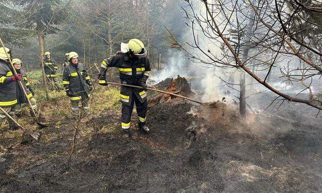 Der Waldbrand in Karlstetten (Bezirk St. Pölten)