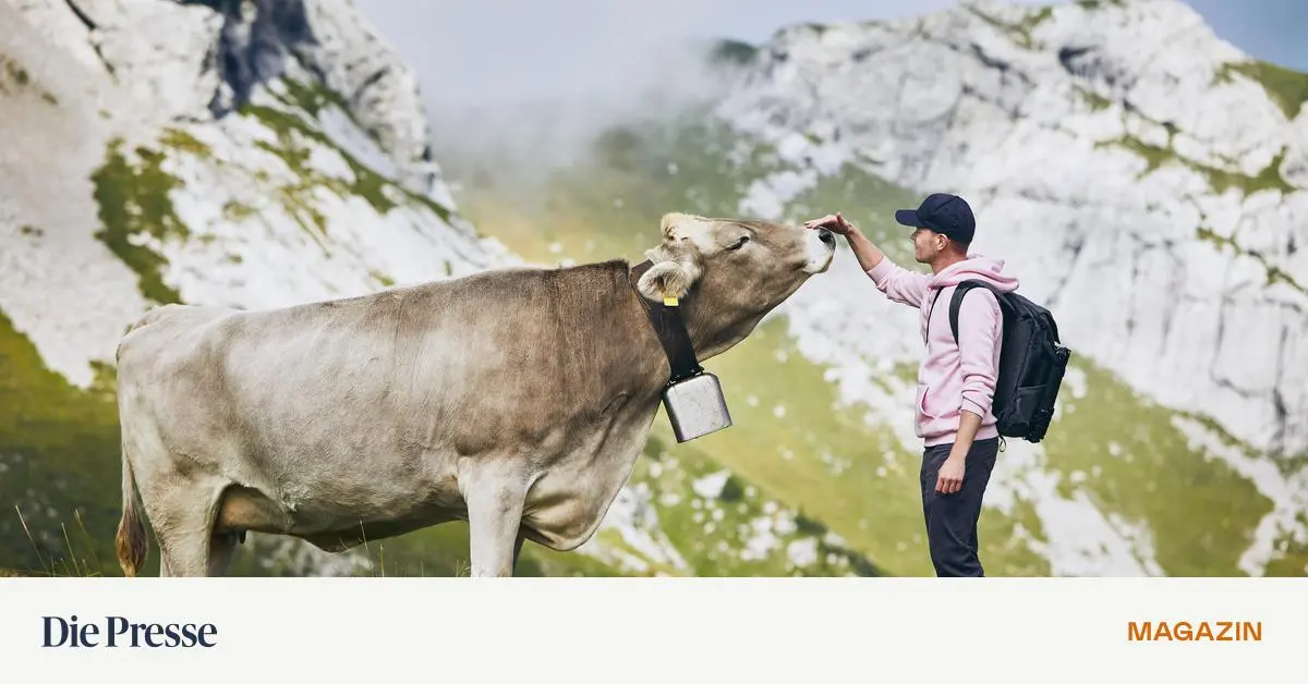 Neue-Krankheitserreger-wandern-auf-die-Almen-premium-