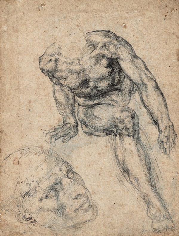 "Die Zweifler beschränken sich auf zwei oder drei, unsere Ansicht, die wir hier vertreten, ist ein breiter Konsens unter internationalen Forschern", so Gnann. Im Bild: Studie einer männlichen Aktfigur, separate Studie ihres Kopfes (Recto), 1534-1536 © Teylers Museum, Haarlem