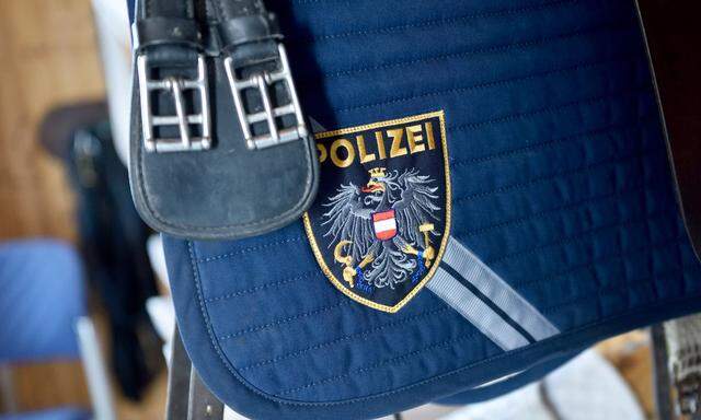 Wien will Polizei übernehmen: Kickl spricht von "Faschingsscherz"