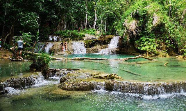 In den türkisgrünen Becken der Kuang-Si-Wasserfälle wird auch gebadet.
