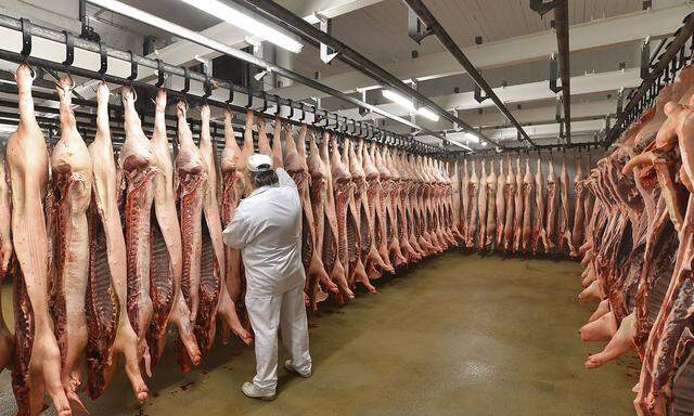 Butcher checking sides of pork in cold store of a slaughterhouse model released Symbolfoto property released PUBLICATIO