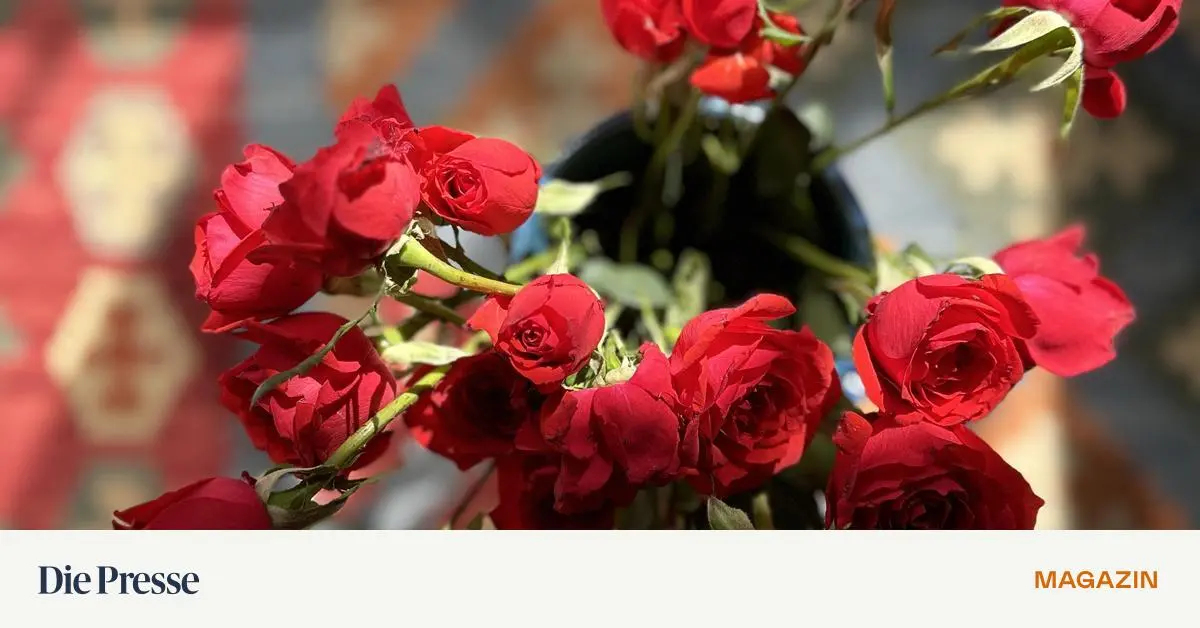 15-J-hrige-musste-Cousin-heiraten-Ehe-k-nnte-gelten-premium-