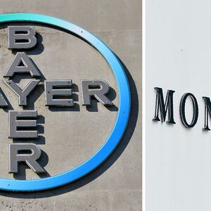 FILES-US-GERMANY-ECONOMY-POLITICS-AGRICULTURE-BAYER-MONSANTO