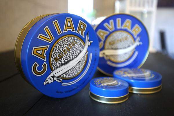 Schlader verkauft den frischen Kaviar vom sibirischen Stör um 1,20 Euro pro Gramm in Dosen von 30 Gramm bis zu einem Kilogramm. (&gt;&gt; Zum Artikel: "Kaviar aus den Kalkalpen")