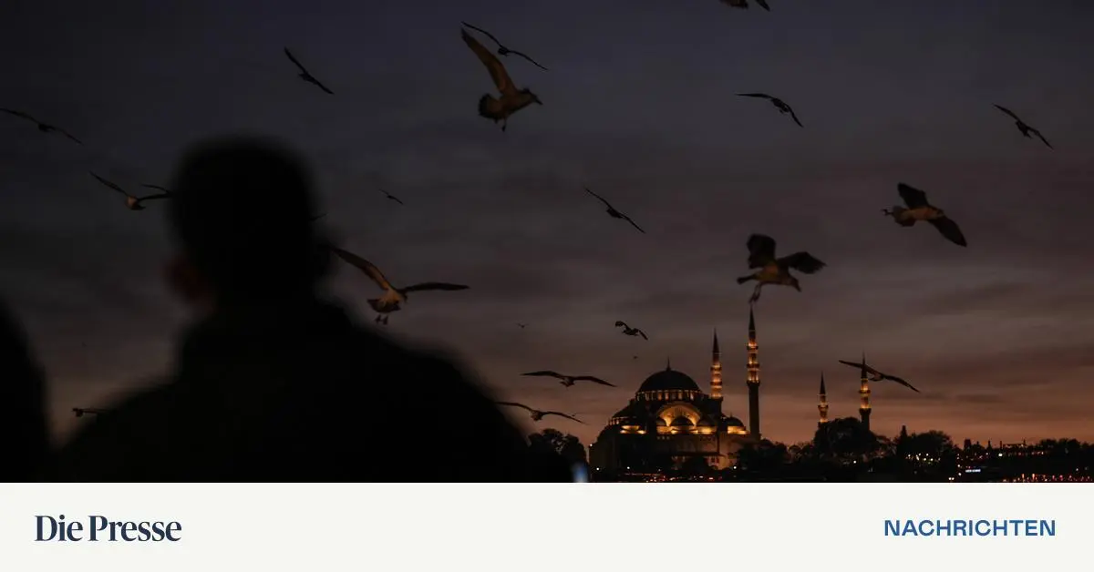 Immer-wieder-sterben-Menschen-an-Bettwanzengift-in-der-T-rkei-premium-