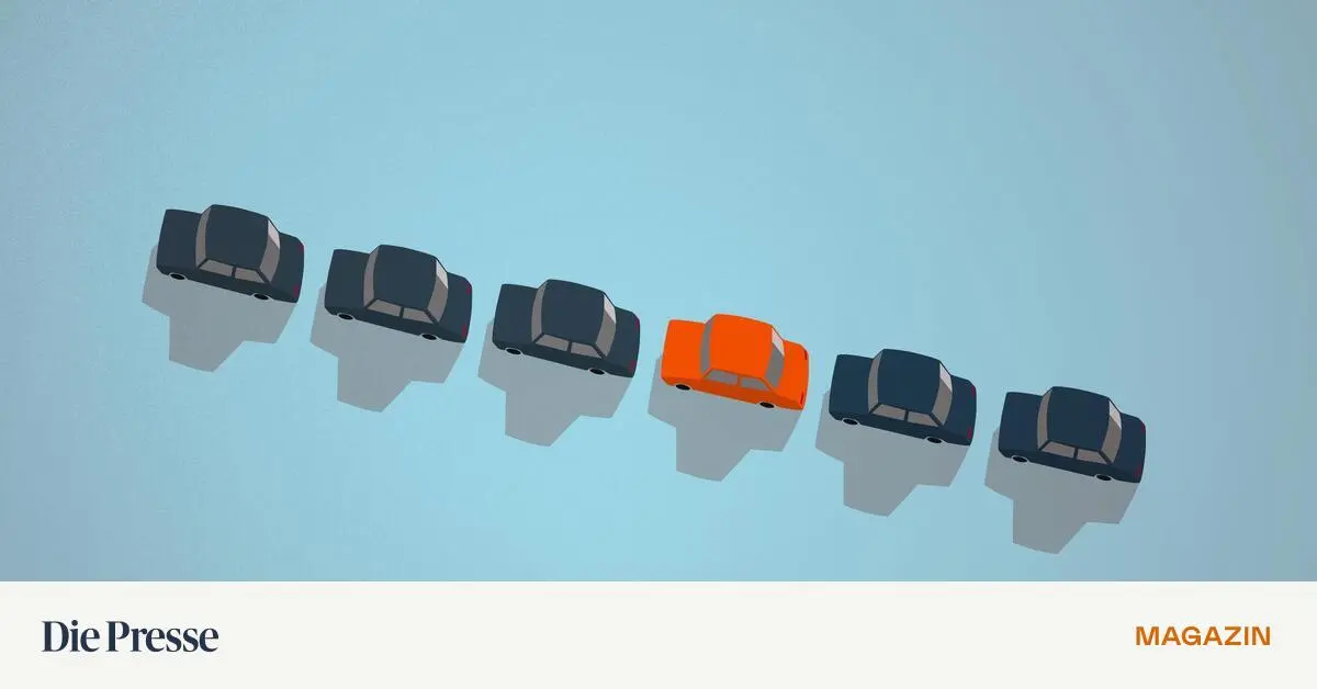 Wer-darf-Falschparker-abmahnen-Das-wurde-schon-wieder-zum-Fall-f-r-den-OGH-premium-