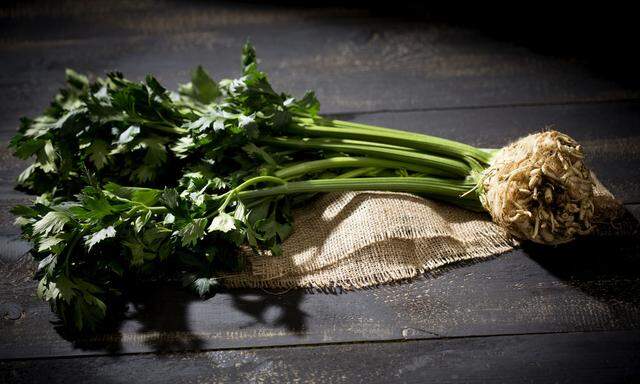 Root celery, Apium graveolens, on jute and dark wooden table, elevated view