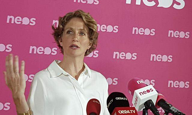 Neos-Fraktionschefin Stephanie Krisper