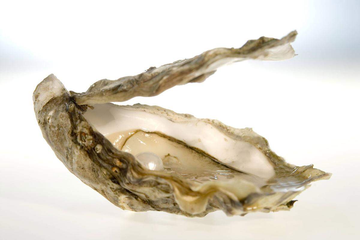 Eisenlieferanten aus dem Meer zum Vergleich: Austern (5,8 mg/100g), Barsch und Hummer (1 mg/100g), Thunfisch (1,2 mg/100g) und Lachs (0,7 mg/100g)