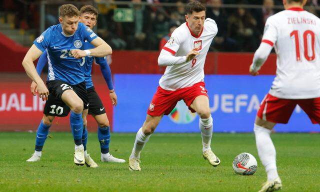 Angeführt von Robert Lewandowski erspielte sich Polen sein Endspiel um ein Euro-Ticket.