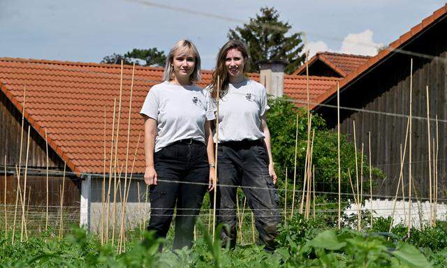 Katharina Neßler (l.) und Hannah Krimmer kultivieren heimische Schnittblumen.