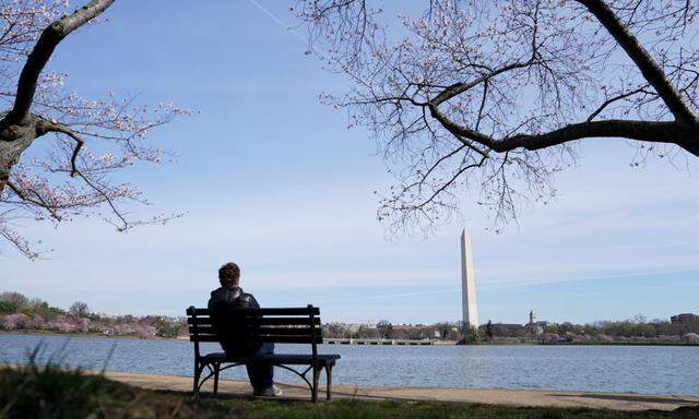 A man sits alone looking towards the Washington Monument in Washington amid the coronavirus pandemic