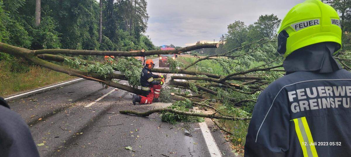 In Niederösterreich stürzten Bäume um und sorgten für kleine Beschädigungen.