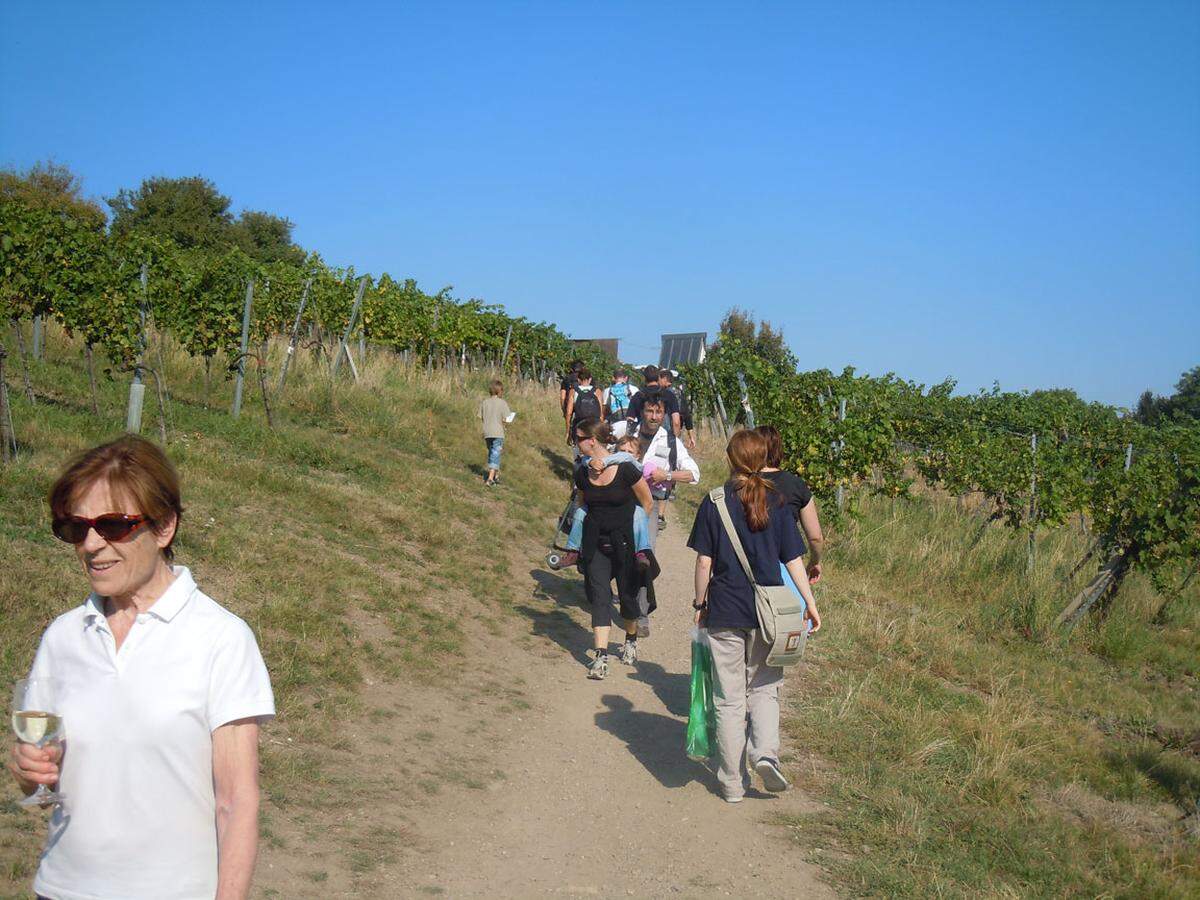 Umweltstadträtin Ulli Sima freute sich über den Besucher-Rekord: "Wien ist für seinen Weinbau mittlerweile weltbekannt."