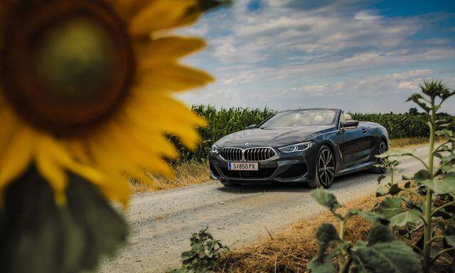 Das große Format für die schöneren Tage des Jahres – und vielleicht des Lebens: BMW 840d Cabrio.