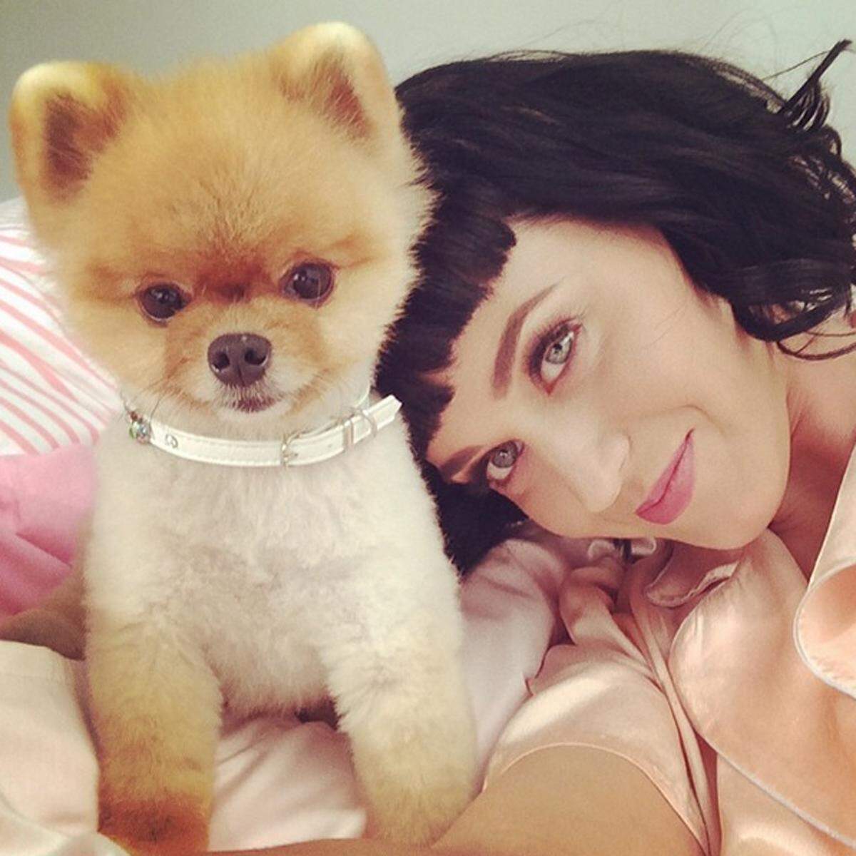 Katy Perry  kann die Selfies mit ihrem vierbeinigen Freund ebenfalls nicht lassen.