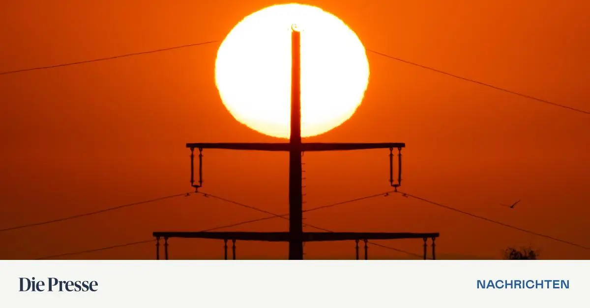 830-Prozent-seit-dem-Hinweis-in-der-Presse-400-Prozent-seit-Jahresbeginn-diese-Aktie-bricht-alle-Rekorde-premium-