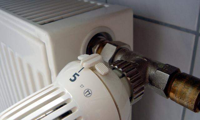 Thermostat eines Heizkoerpers