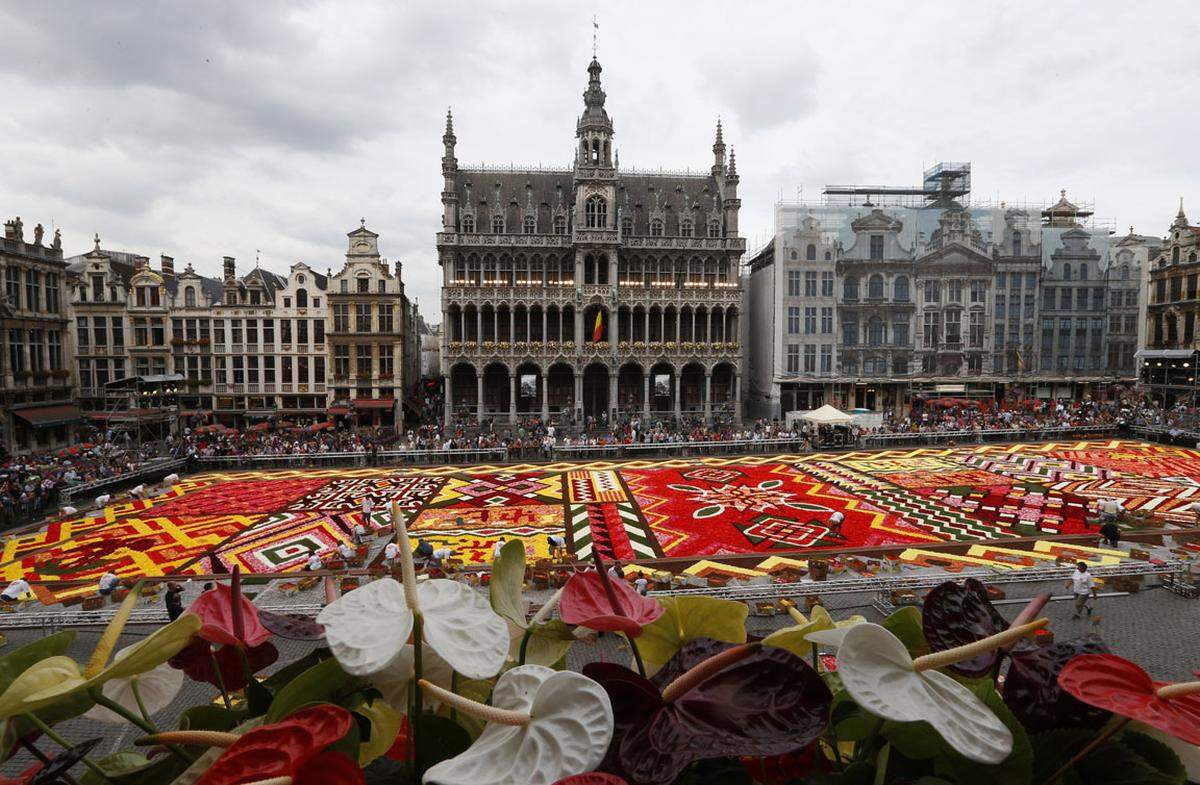 Belgien hat schöne Städte zu bieten - etwa Brüssel, Gent, Antwerpen und Brügge. Aber auch kulinarisch hat das Land mit Schokolade, Bier und Pommes einiges in petto.