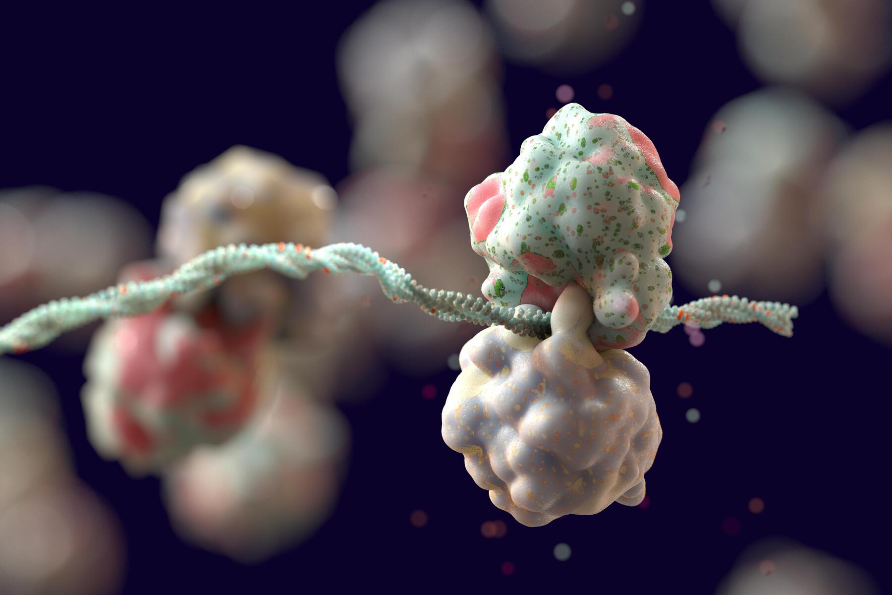 War ein winziges RNA-Molekül der Anfang allen Lebens? [premium]