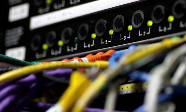 FILE PHOTO: LAN network cables plugged into a server in Singapore
