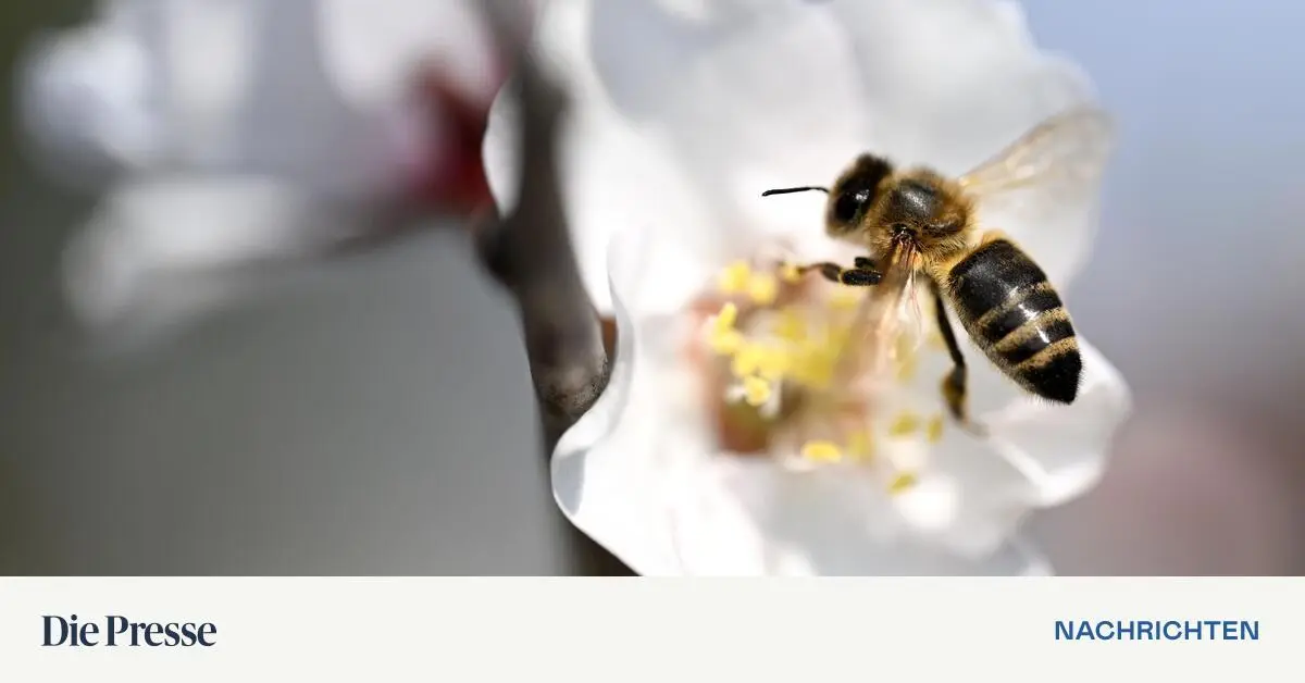 Wetter-Mehr-Sonne-und-bis-zu-25-Grad