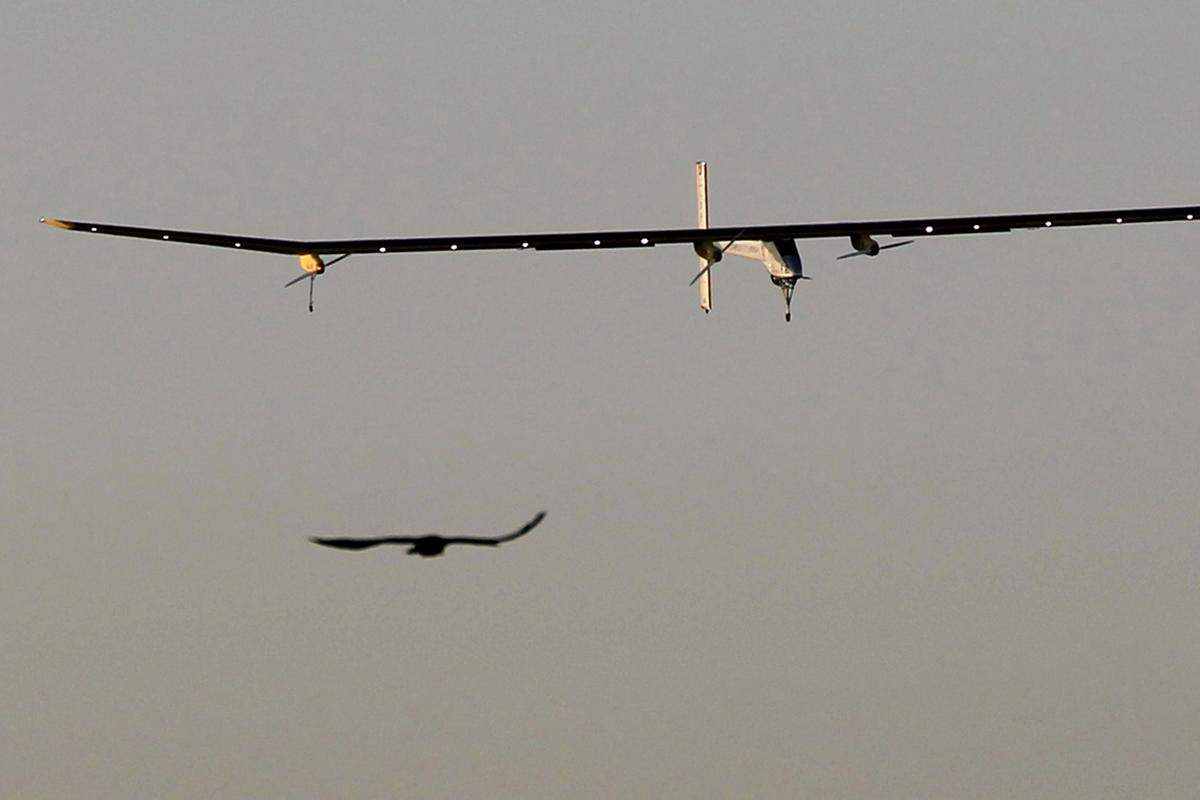 Das Solar-Flugzeug "Solar Impulse" nähert sich nach einem Testflug dem Landefeld bei Moffett Field in Kalifornien. Das Karbon-Flugzeug soll rund um die Erde fliegen, nur durch Sonnenkraft angetrieben. Aufnahme vom 19. April 2013.