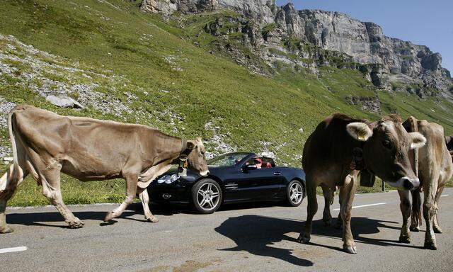 Ein Road Trip, bei dem man fast die ganze Schweiz entdeckt.