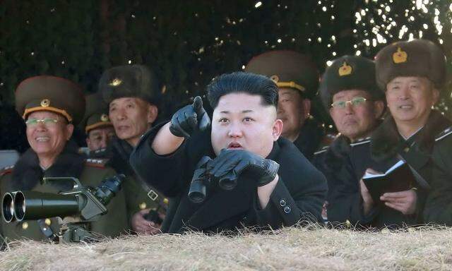 150131 PYONGYANG Jan 31 Photo provided by Korean Central News Agency on Jan 31 2015 s