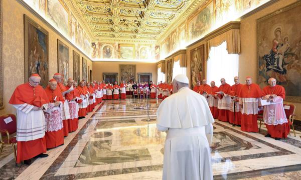 Papst Franziskus und die Kardinäle beraten im Herbst wieder über die Zukunft der katholischen Kirche. 
