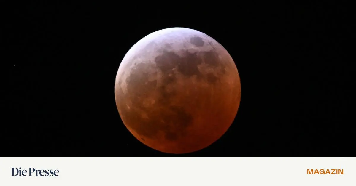 Wir-sind-so-wild-nach-dem-Erdbeermond