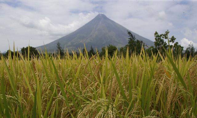Archivaufnahme des Vulkans Mayon 