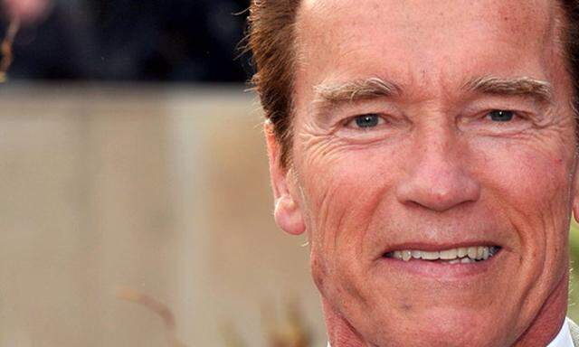 Stronach hofft Unterstuetzung Schwarzenegger