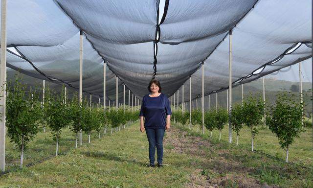 Gohar Movsesyan ist Bäuerin und Biologielehrerin in einem Dorf, in dem die Zahl der bestellten Felder und Schulkinder sinkt.