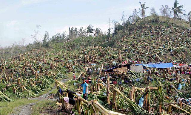 Schwere Schäden nach dem Taifun Bopha auf den Philippinen.
