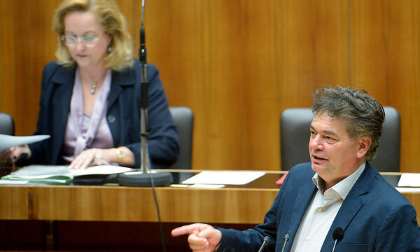 Werner Kogler, Maria Fekter