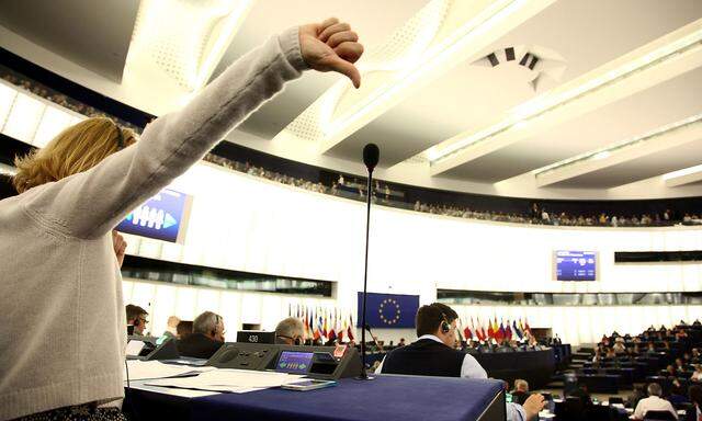 EU Parliament Debates TTIP and Kyoto Protocol