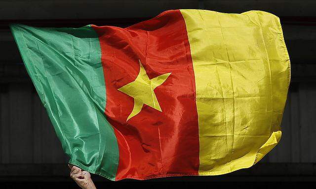 Kameruns Fahne