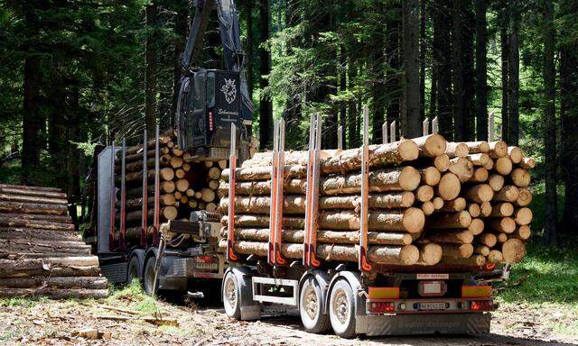 Für eine Megawattstunde Ökostrom muss eine Tonne Holz verheizt werden.