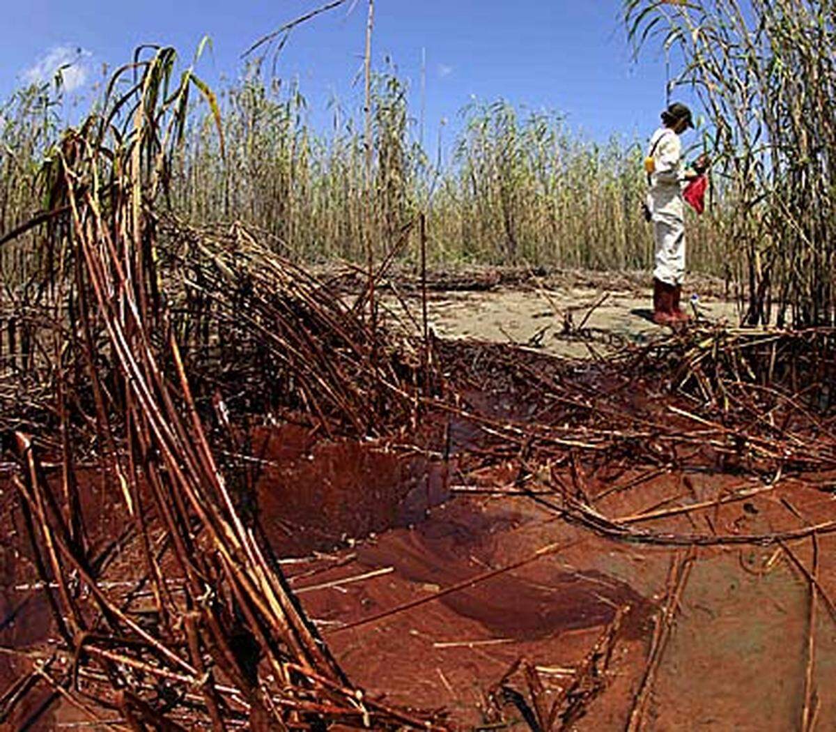 Obama will die Zahl der Helfer verdreifachen. Rund 240 Kilometer der Küste sind bereits verseucht. Laut US-Ozeanbehörde NOAA darf bereits in einem Viertel des Golfs nicht mehr gefischt werden.