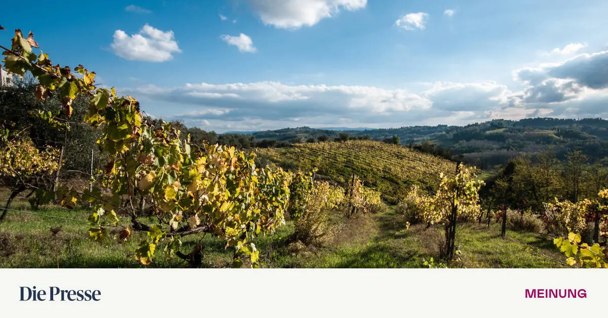 Eine-Weinempfehlung-f-r-die-Grillsaison-premium-